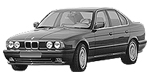 BMW E34 C1313 Fault Code